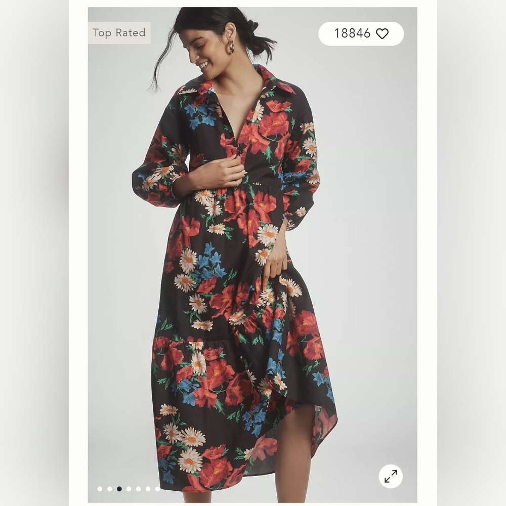 Anthropologie Printed Shirt Sress. NWT!!!